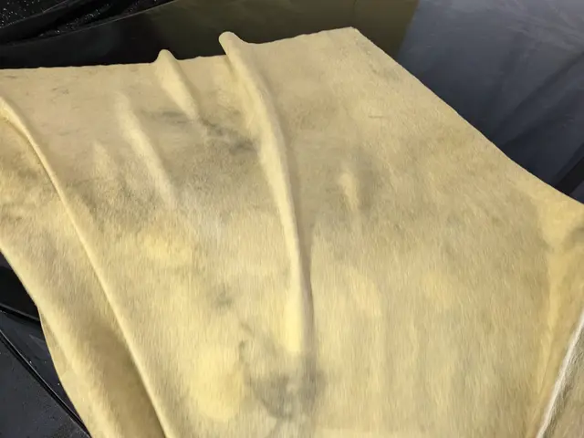 ◎カー用品店での長年の洗車経験を活かした出張ガタ洗車サービスの画像