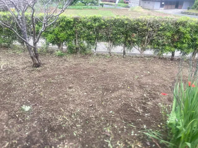 女性スタッフもおります。ご希望の方はお気軽にお声かけください♪サービスの画像