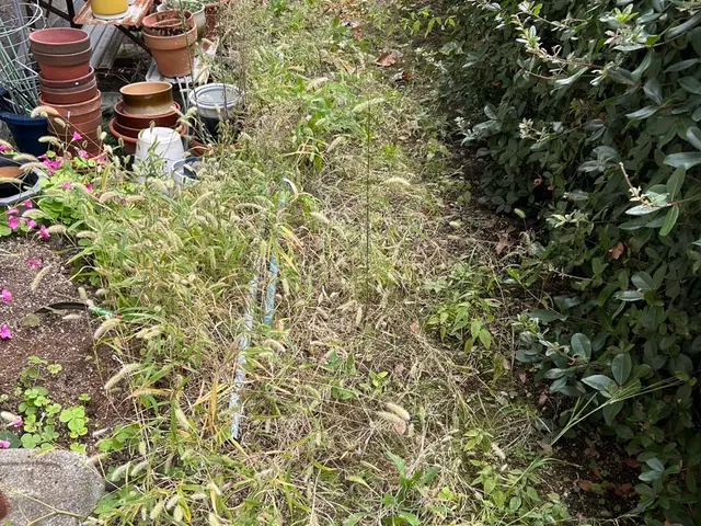 お客様のお力になります！経験と知識を活かして迅速丁寧に作業いたします！サービスの画像