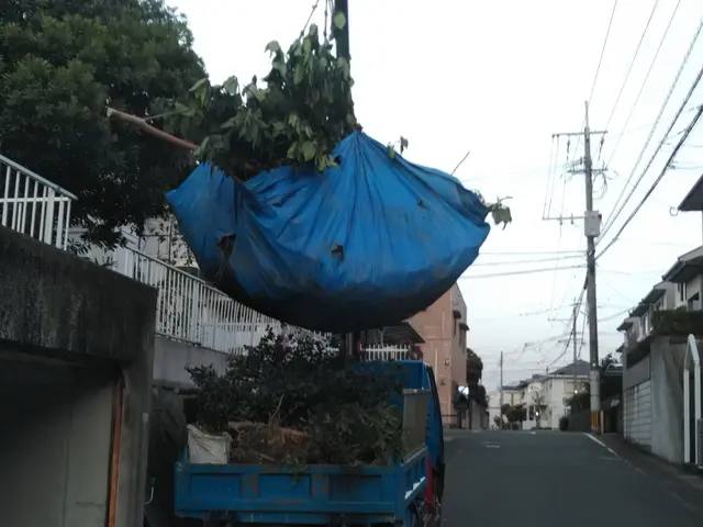 お客様のお言葉をお聞きしながら後々手の掛からないお庭に仕上げますサービスの画像