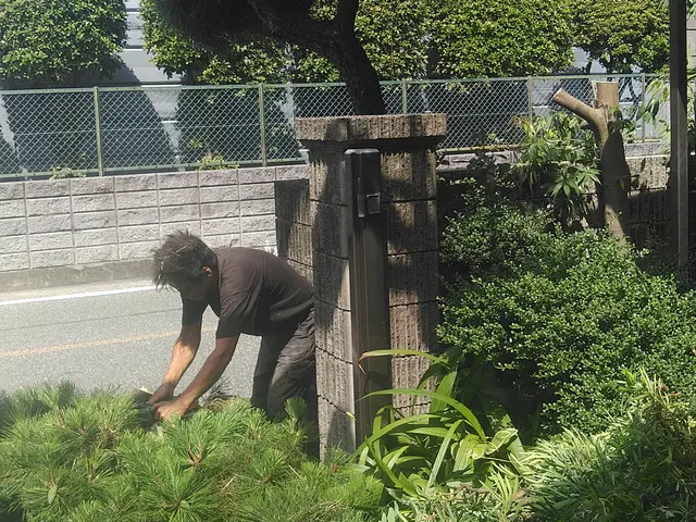 お客様のお言葉をお聞きしながら後々手の掛からないお庭に仕上げますサービスの画像