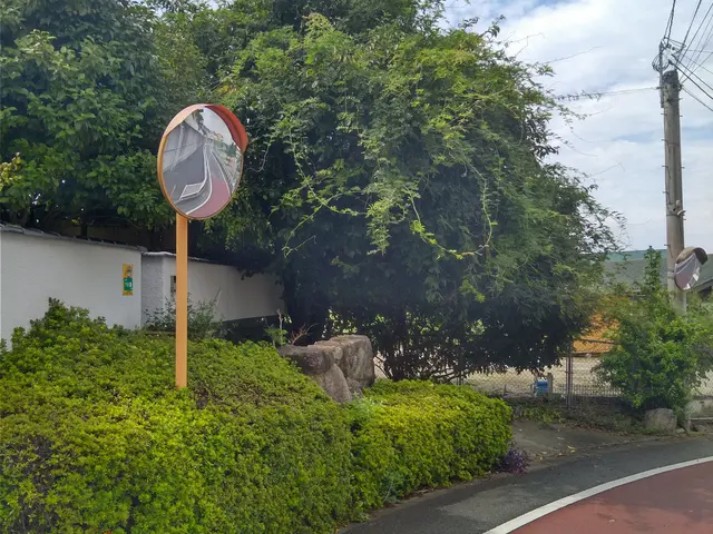 経験の中からお客様のお言葉とお庭に合ったお庭に仕上げますサービスの画像