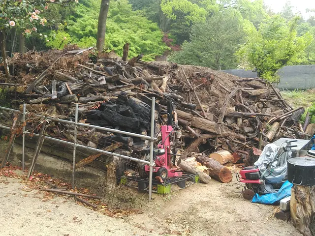 お客様のお言葉をお聞きしながら後々手の掛からないお庭に仕上げますサービスの画像