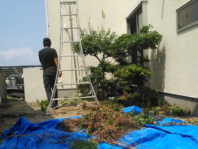 お客様のお言葉をお聞きしながら後々手の掛からないお庭に仕上げますサービスの画像