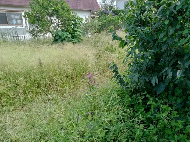 ◆至急対応◎地域密着店◎営業時間外も対応可能◎女性スタッフ同行可能サービスの画像