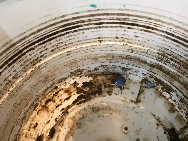 洗濯機分解クリーニング◎衣類を洗うものだからいつも清潔に◎分解徹底洗浄！！サービスの画像