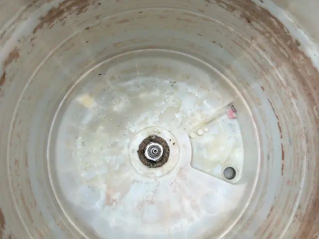 洗濯機を分解洗浄。洗濯槽の内側までピカピカ◎ニオイや汚れの付着を防止できます！！サービスの画像