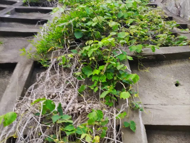 ◆店長の私がお伺いします◆年中無休◆100%自社施工◆営業時間外も対応可能サービスの画像