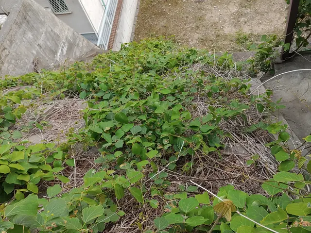 ◆店長の私がお伺いします◆年中無休◆100%自社施工◆営業時間外も対応可能サービスの画像