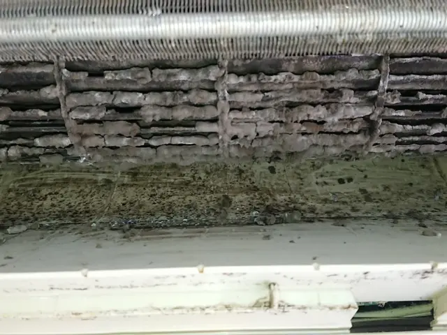 防カビ抗菌・虫侵入防止が無料になるキャンペーンあり！QRコード決済可▲複数台割りサービスの画像