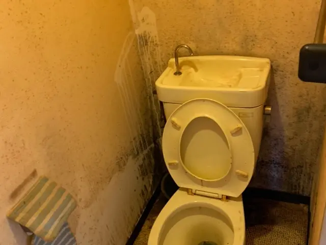 ☆女性スタッフ同行可☆損害保険加入済☆ヤニ、黒ずみをしっかり取り除きます！！サービスの画像