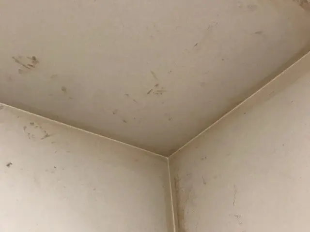 ☆女性スタッフ同行可☆損害保険加入済☆ヤニ、黒ずみをしっかり取り除きます！！サービスの画像