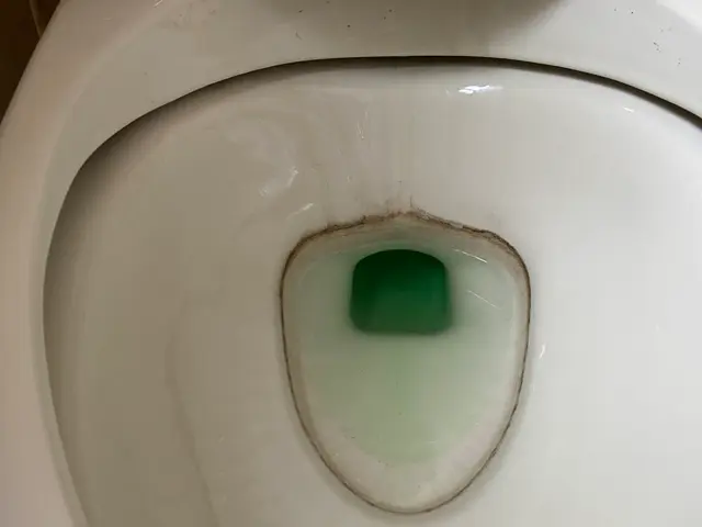 イヤなニオイの原因になる汚れをしっかり落として衛生的に。サービスの画像