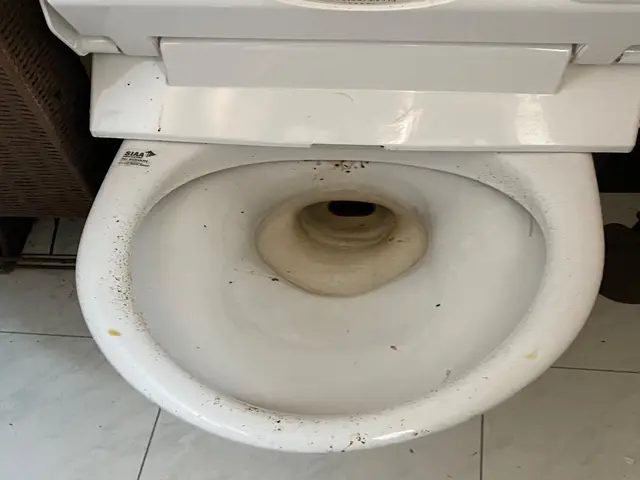 イヤなニオイの原因になる汚れをしっかり落として衛生的に。サービスの画像