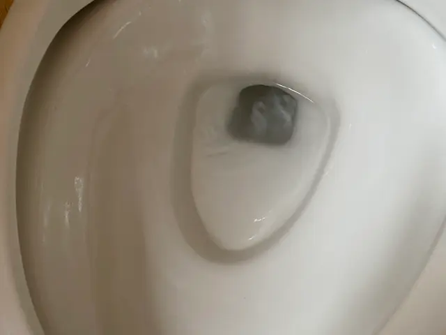 イヤなニオイの原因になる汚れをしっかり落として衛生的に。サービスの画像