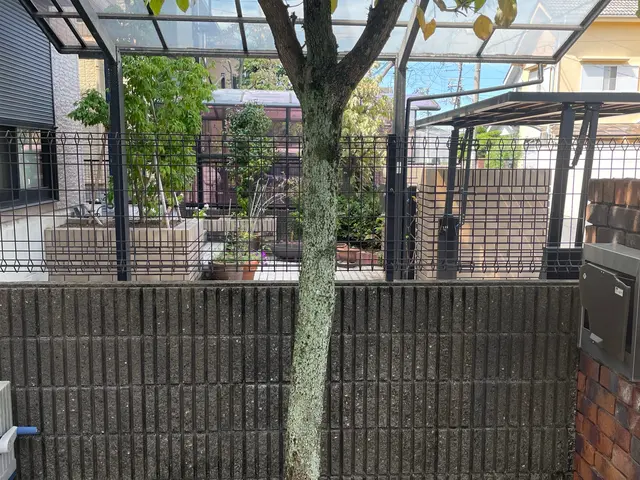 抜根専門のサービスです！伐採後の切株でお困りでしたらご相談ください！サービスの画像