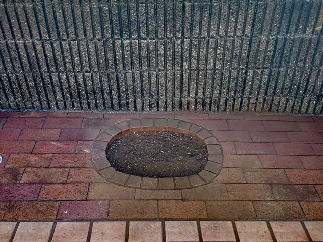 抜根専門のサービスです！伐採後の切株でお困りでしたらご相談ください！サービスの画像