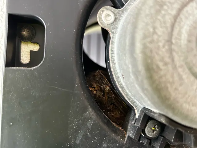 コウモリ駆除清掃コンシェルジュ　駆除清掃はお任せください♪福岡県古賀市からお伺いサービスの画像