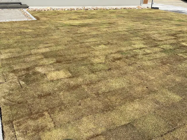 【お庭を緑で清々しく】心地いいお庭へ！サービスの画像