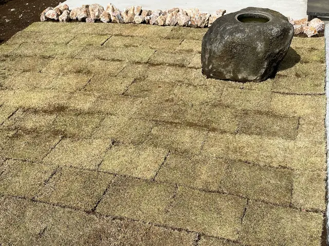 【お庭を緑で清々しく】心地いいお庭へ！サービスの画像