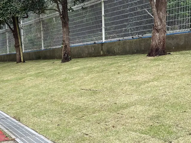 【お庭を緑で清々しく】心地いいお庭へ！サービスの画像