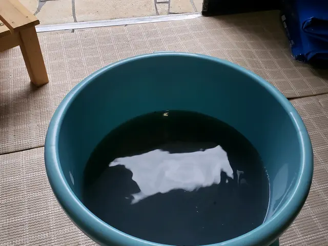 「福岡」カビ、埃に注意！【お子様ペットも安心植物性洗剤】ヒノキの消臭で爽やかに♪サービスの画像