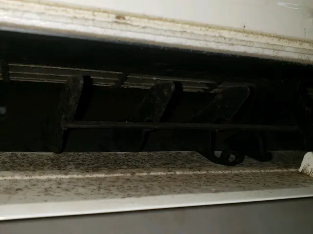 「福岡」カビ、埃に注意！【お子様ペットも安心植物性洗剤】ヒノキの消臭で爽やかに♪サービスの画像