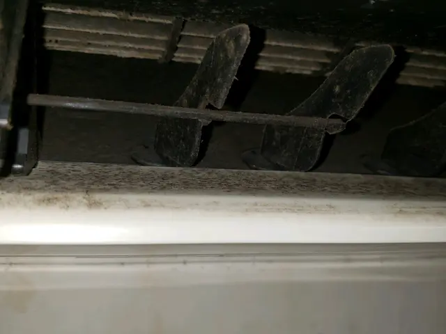 「福岡」カビ、埃に注意！【お子様ペットも安心植物性洗剤】ヒノキの消臭で爽やかに♪サービスの画像