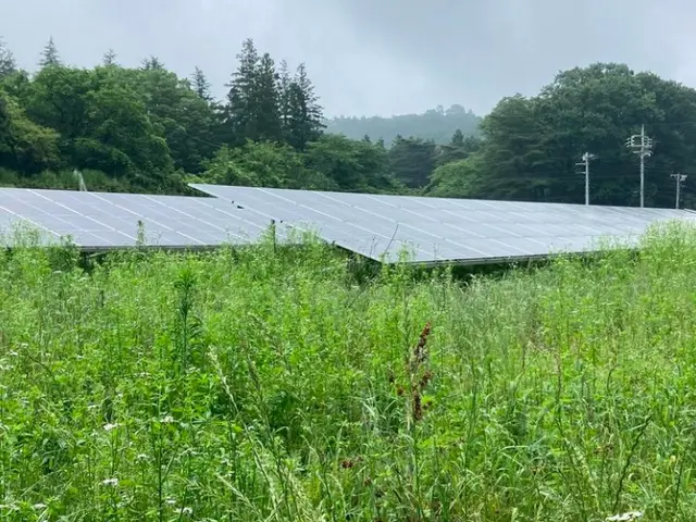 【損害保険加入！】安全・丁寧な作業を心がけております！！サービスの画像