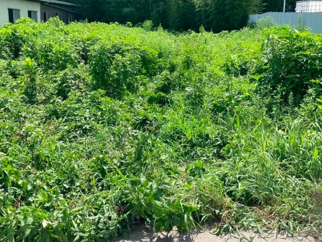 【損害保険加入！】安全・丁寧な作業を心がけております！！サービスの画像