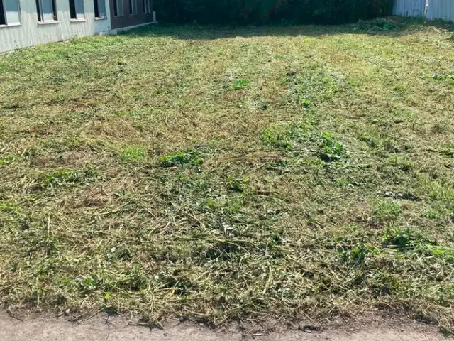 【損害保険加入！】安全・丁寧な作業を心がけております！！サービスの画像