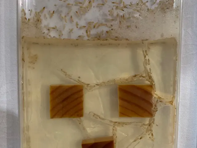 【高品質】【大手同様サービス】安心☆安全☆保証 あなたのお家だけの住宅別安心施工サービスの画像