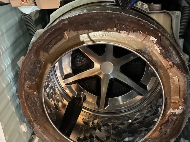 ドラム式乾燥弱くないですか？分解洗浄で改善｜織と凛　限定33000→28000サービスの画像