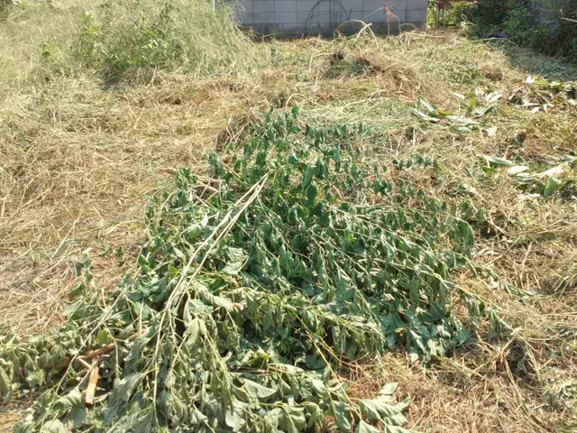 お客様のお力になります！経験と知識を活かして迅速丁寧に作業いたしますサービスの画像