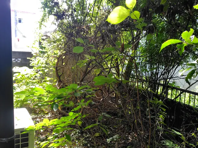 お客様のお力になります！経験と知識を活かして迅速丁寧に作業いたしますサービスの画像