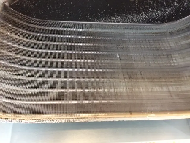 【2019くらマアワード受賞☆】女性スタッフ同行☆天然洗剤★コロナ対策実施！サービスの画像