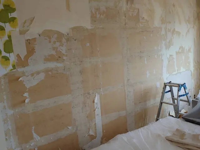 【職人歴30年以上！】経験と技術で、損傷した壁を丁寧に美しく補修します！サービスの画像