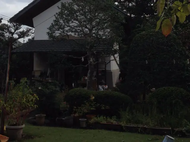 ◇庭木の伐採・抜根◇職人が作業終了まで丁寧に対応します！サービスの画像