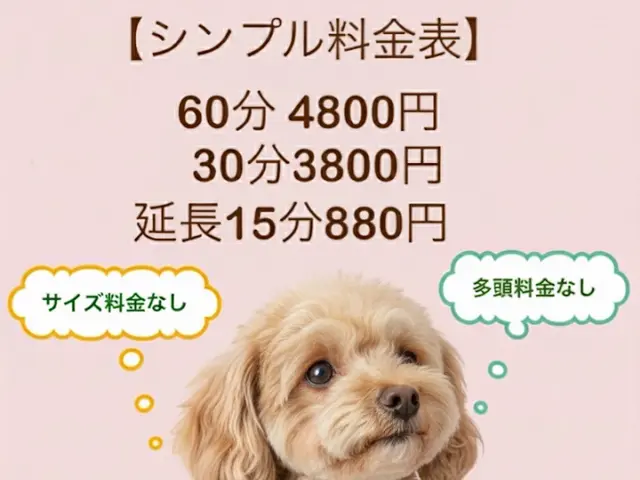 ペットシッター専門店で経験を積んだプロが対応！女性スタッフ 60分4800円サービスの画像