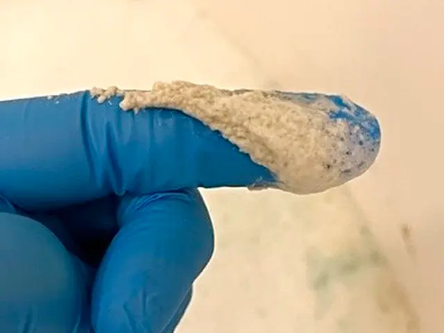 主婦の方必見！汚れを数値化して、お子様も安心・安全なお風呂へ♪レジオネラ菌も撃退サービスの画像