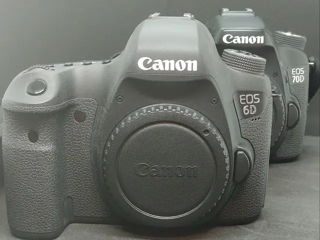 【年中無休◎】海外の新聞に写真掲載や出展歴あり！各種イベント撮影の対応可能です◎