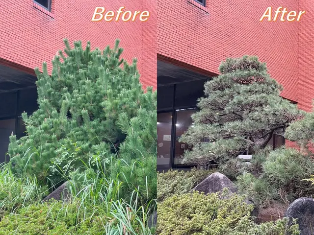 【リピート割】いよいよ剪定のシーズン！年末に向けてお庭を綺麗にしましょう！サービスの画像