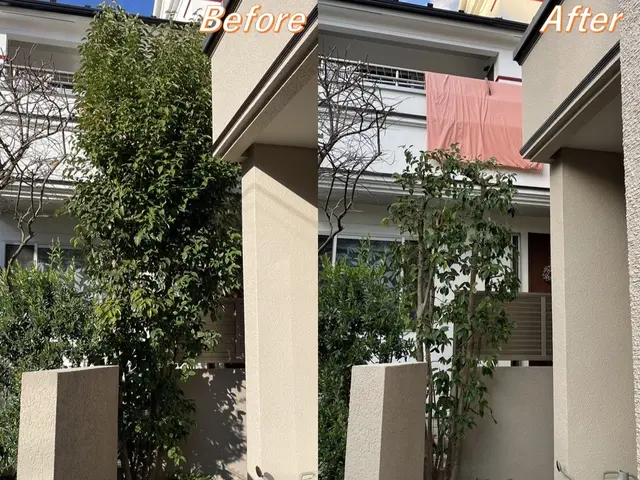 【リピート割】いよいよ剪定のシーズン！年末に向けてお庭を綺麗にしましょう！サービスの画像