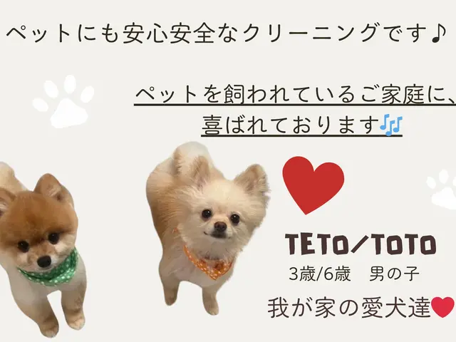 【子供/ペットの安全に特化】大手FC店◉2000件の実績◉自社開発洗剤で安心安全サービスの画像