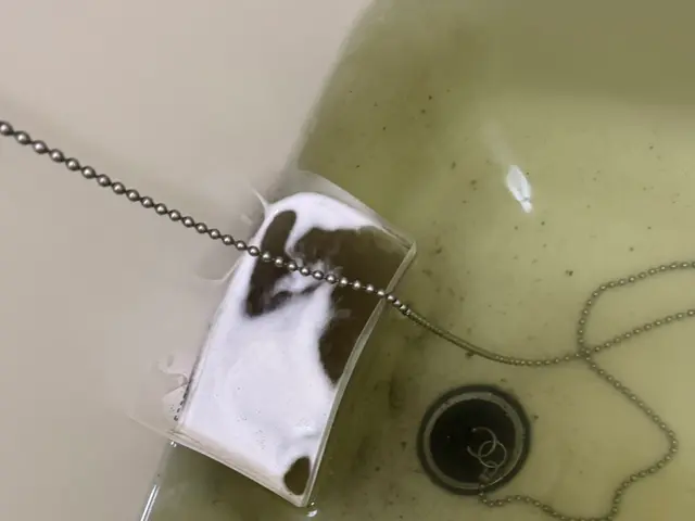 【子供/ペットの安全に特化】大手FC店◉2000件の実績◉自社開発洗剤で安心安全サービスの画像