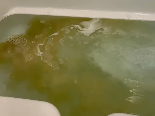 【子供/ペットの安全に特化】大手FC店◉2000件の実績◉自社開発洗剤で安心安全サービスの画像