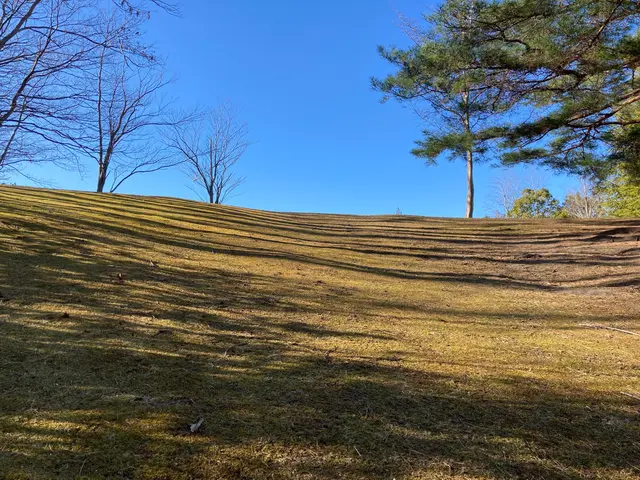 ◎PayPay払いOK◎太陽光パネル下の施工◎広大な面積も写真見積もりいたしますサービスの画像