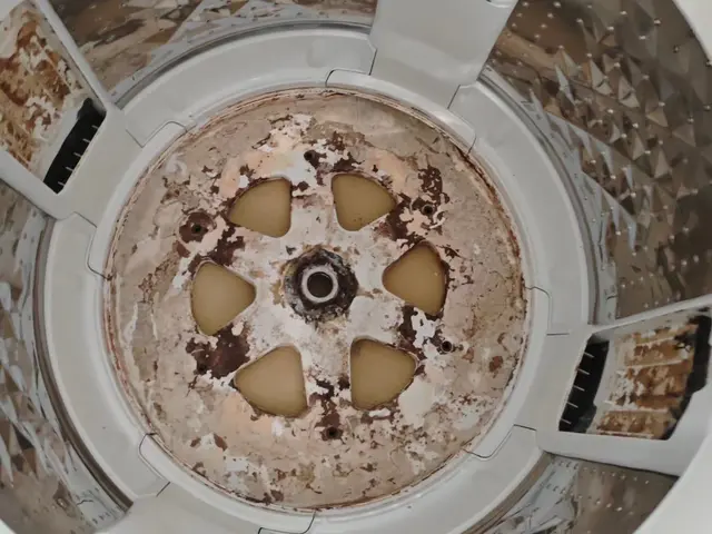 【分解洗浄】各種決済に対応！洗濯槽をピカピカ徹底洗浄！サービスの画像