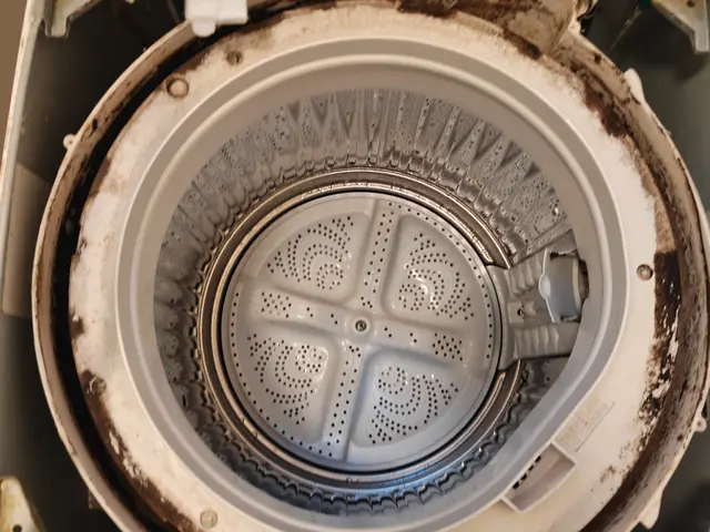 【分解洗浄】各種決済に対応！洗濯槽をピカピカ徹底洗浄！サービスの画像