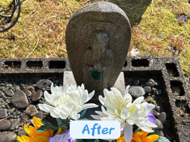 【格安キャンペーン中】心を込めたお墓清掃サービス！サービスの画像